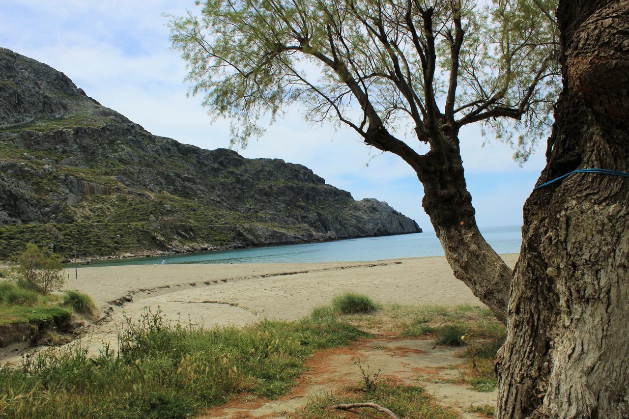 Paligremnos Studios Plakias Bagian luar foto
