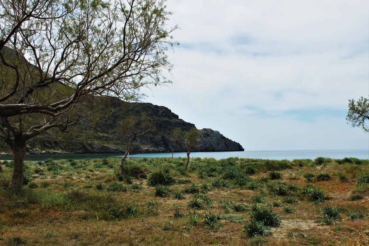 Paligremnos Studios Plakias Bagian luar foto